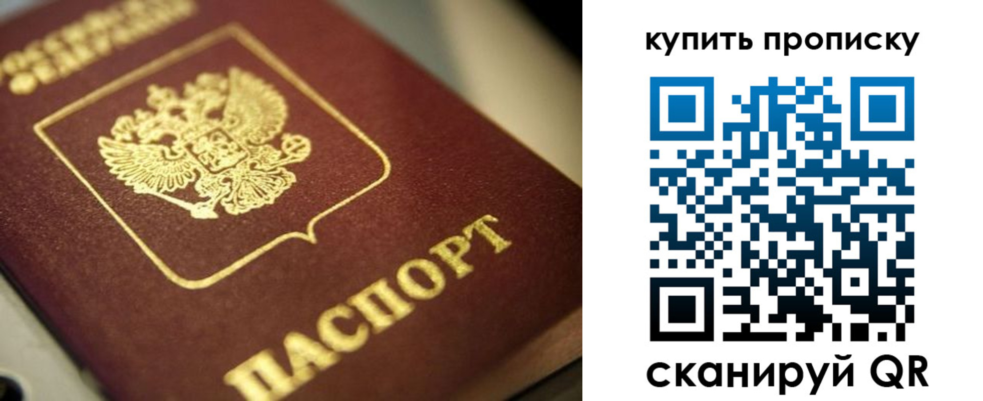 прописка поиск в Раменском